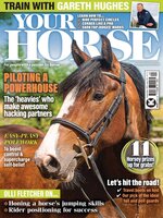 Your Horse